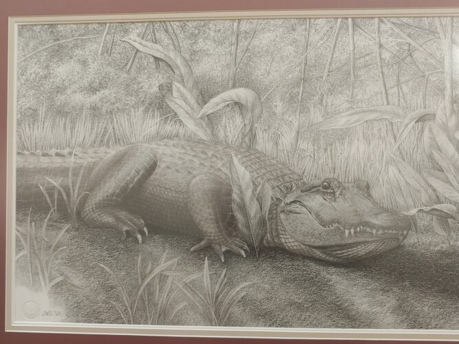 Thomas T. Taber Museum to observe First Friday with animal mounts, illustrations